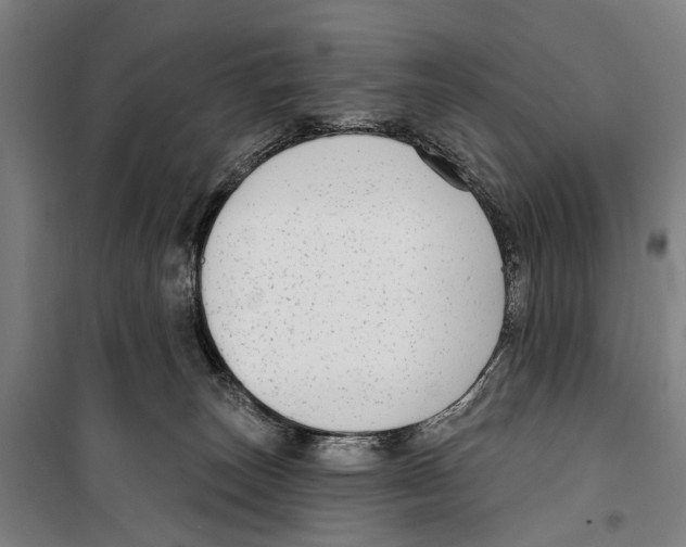 X0000099520179200806121510