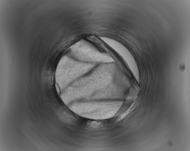 X0000099520180200806121510