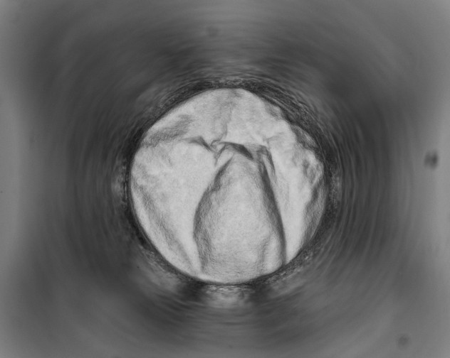 X0000099520181200806121510