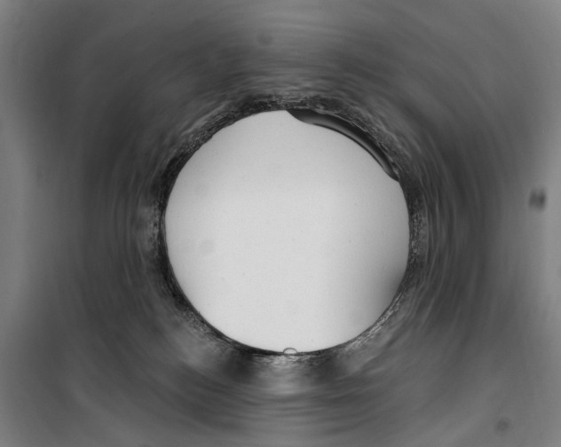 X0000099520184200806121510