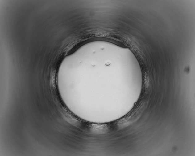 X0000099520185200806121510