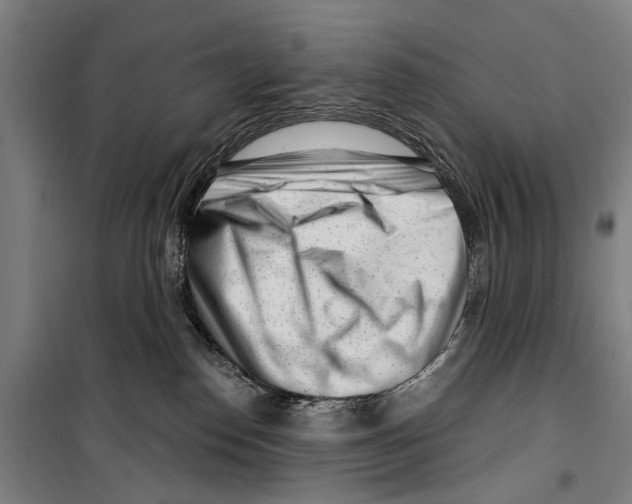 X0000099520186200806121510