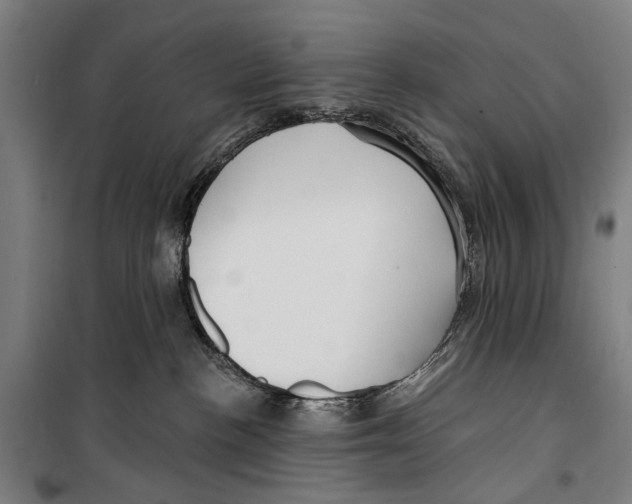 X0000099520188200806121510