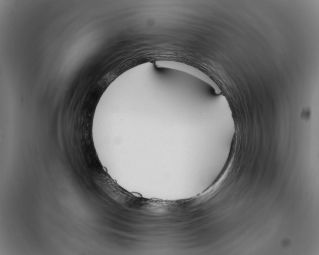 X0000099520190200806121510