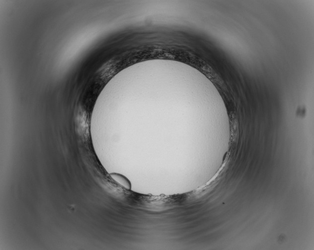 X0000099520191200806121510