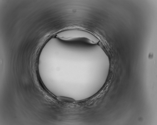 X0000099520193200806121509