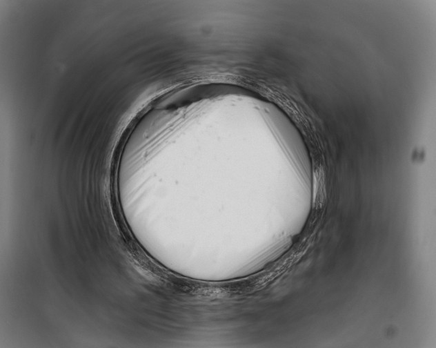 X0000099520195200806121509