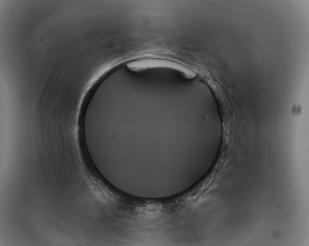 X0000099520196200806121509