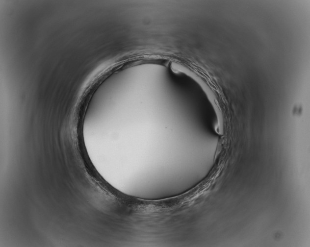 X0000099520197200806121509