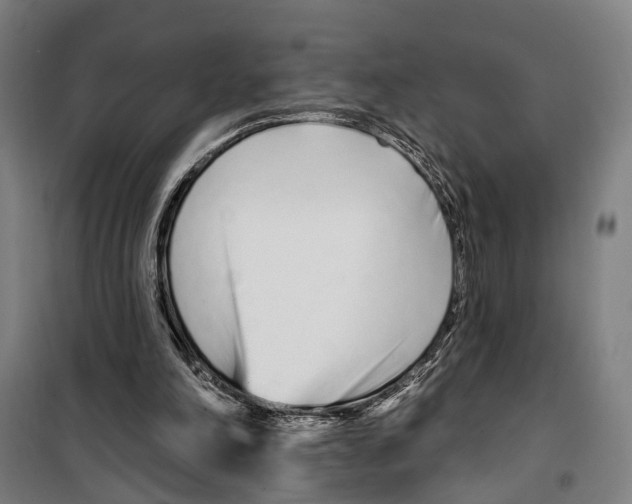 X0000099520198200806121509