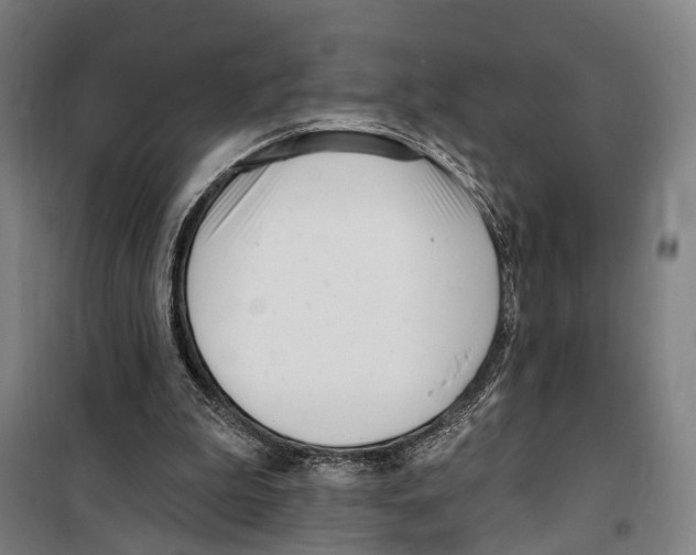 X0000099520199200806121509