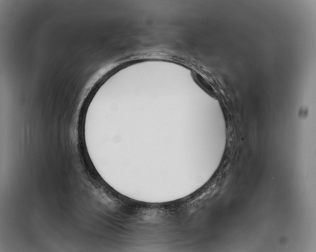 X0000099520200200806121509