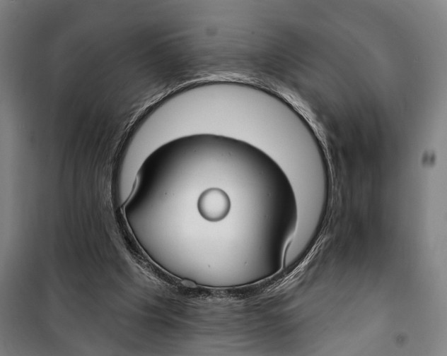 X0000099520201200806121509