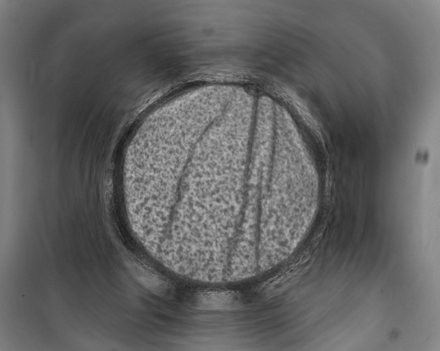 X0000099520202200806121509