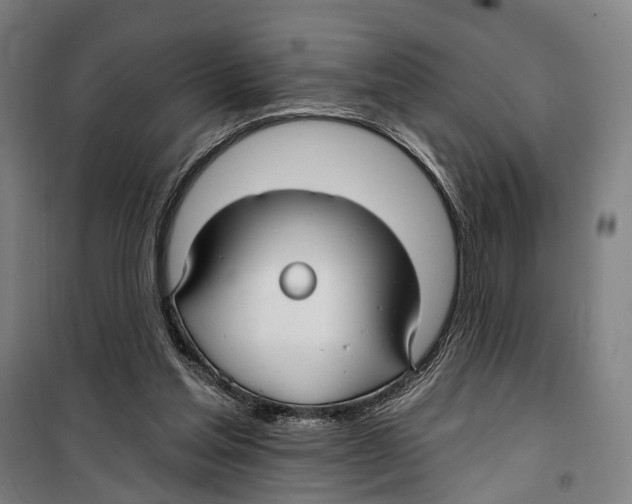 X0000099520205200806121509