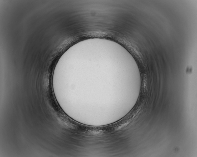 X0000099520206200806121509