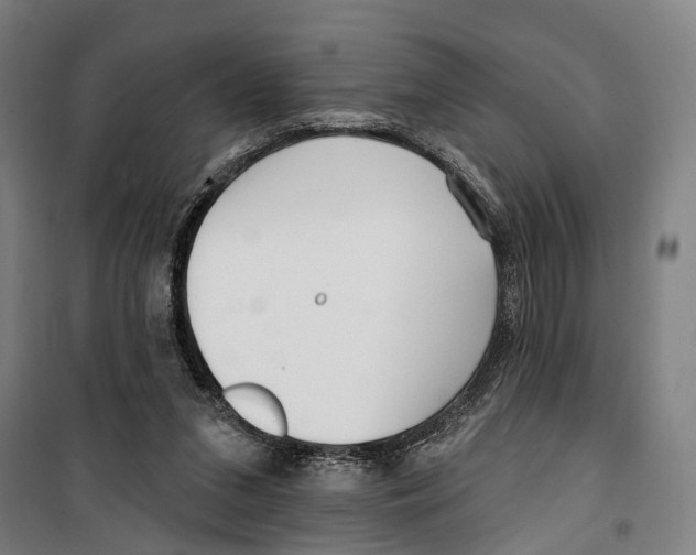 X0000099520207200806121509