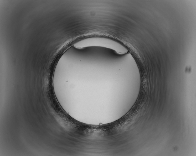 X0000099520208200806121509