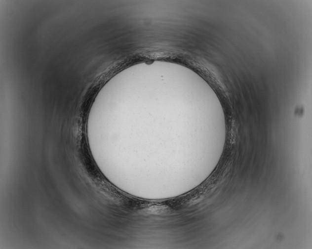 X0000099520210200806121509