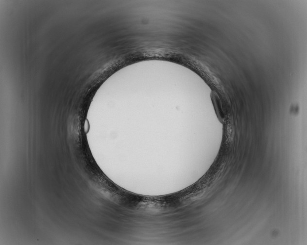 X0000099520211200806121509