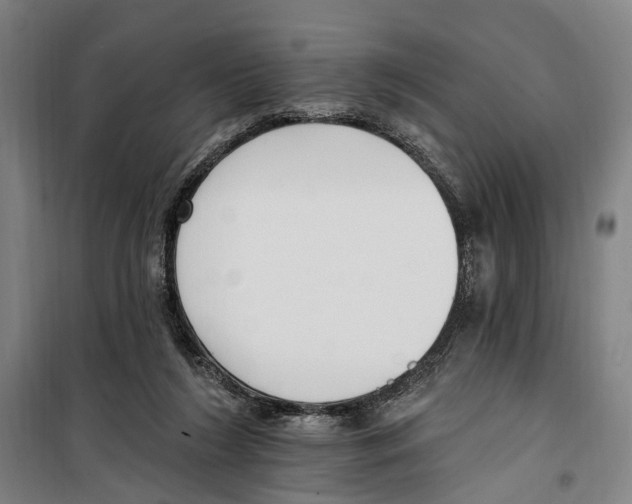 X0000099520212200806121509