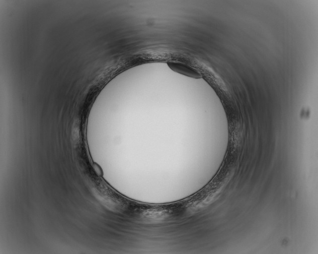 X0000099520213200806121509