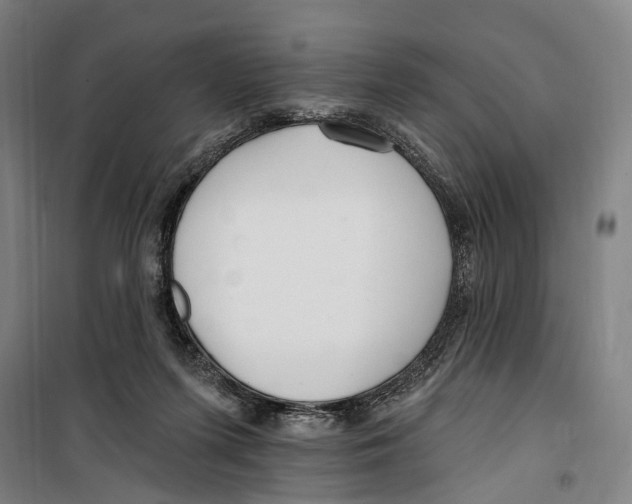 X0000099520215200806121509