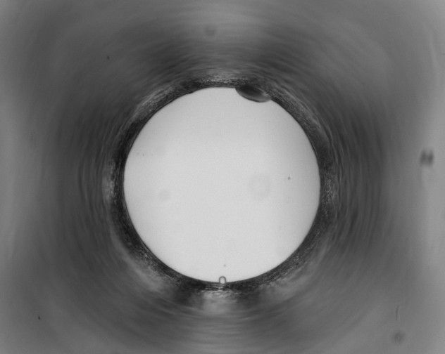 X0000099520216200806121509