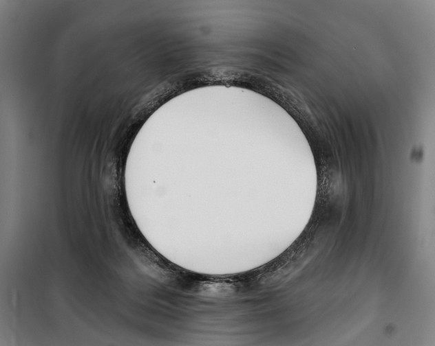 X0000099520220200806121509