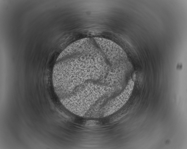 X0000099520222200806121509