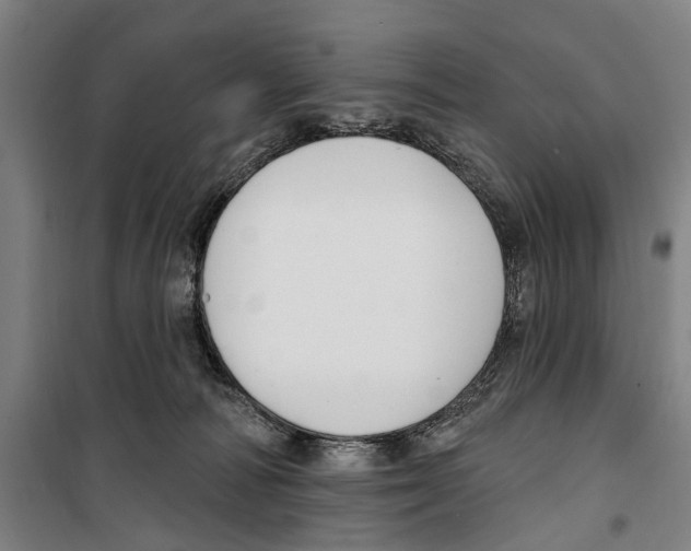 X0000099520226200806121509