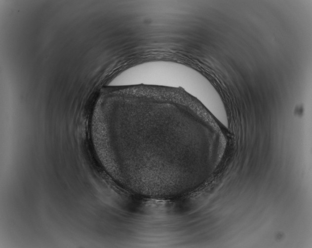 X0000099520227200806121509