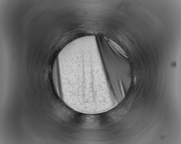 X0000099520229200806121509