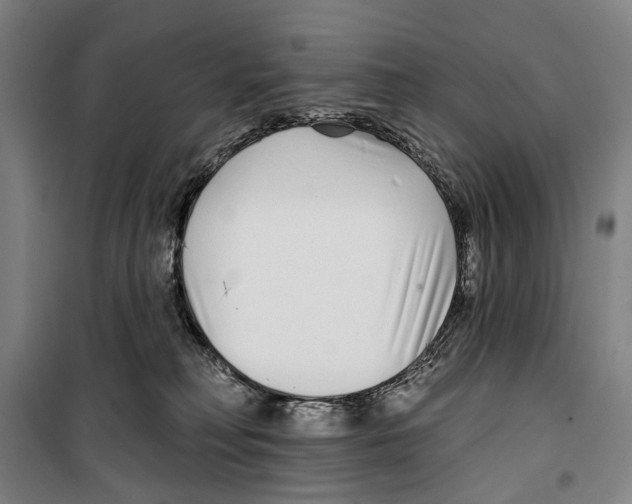 X0000099520230200806121509