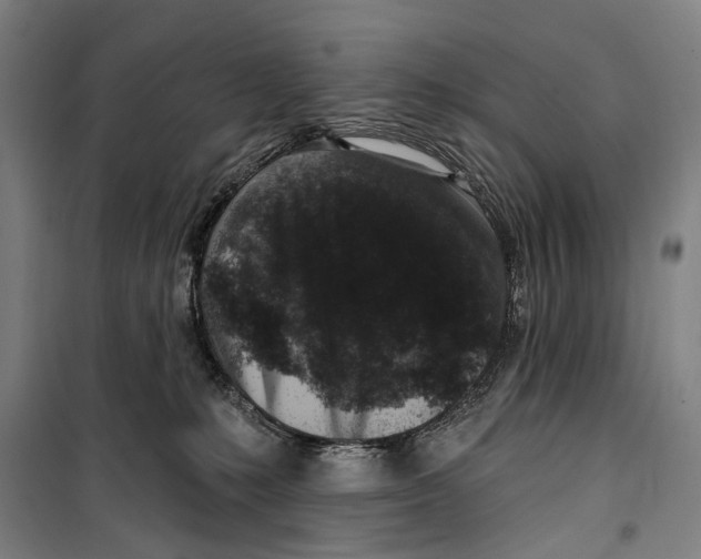 X0000099520231200806121509