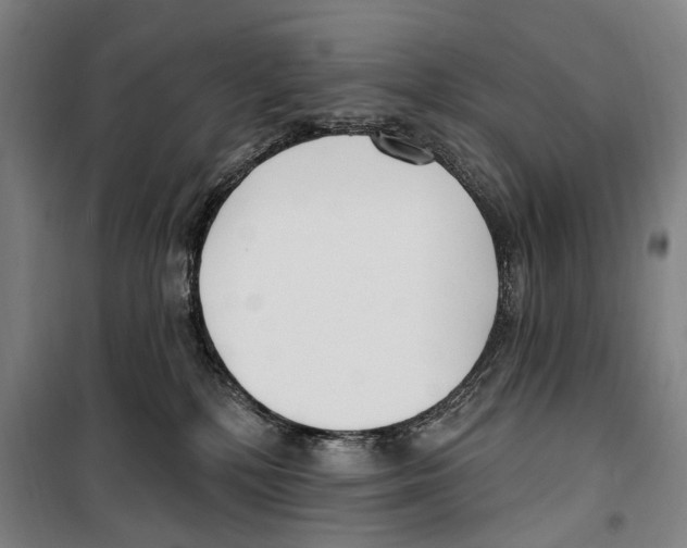 X0000099520232200806121509