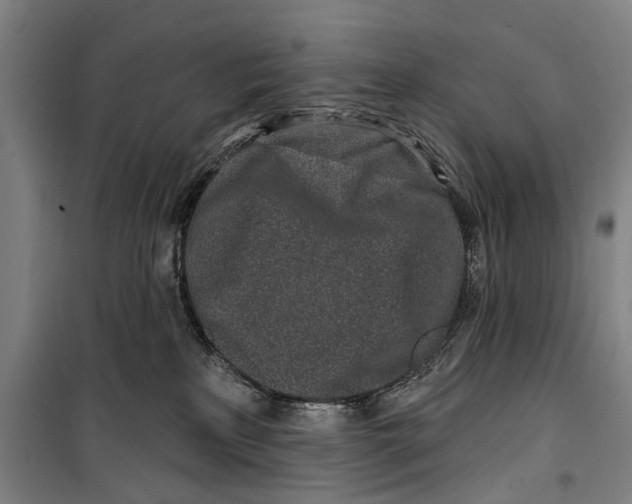 X0000099520233200806121509