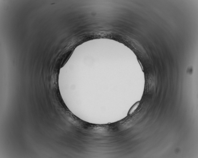 X0000099520236200806121509