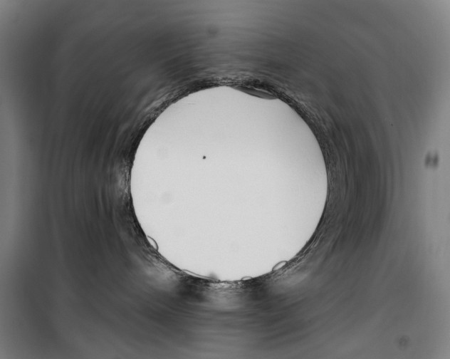 X0000099520240200806121509