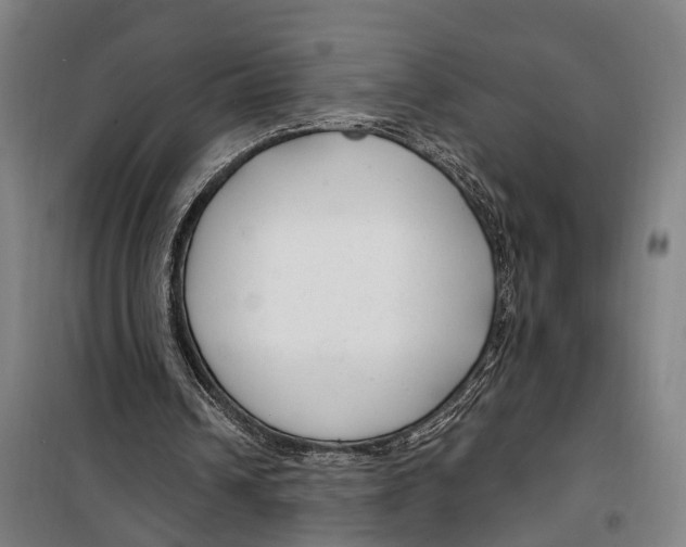 X0000099520242200806121508