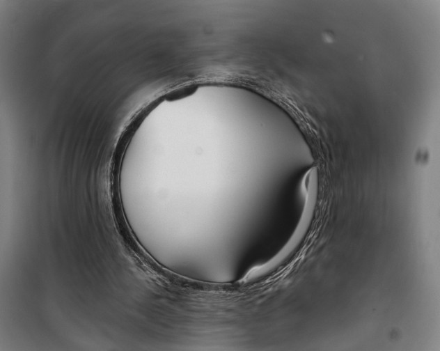 X0000099520244200806121508