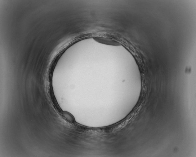 X0000099520245200806121508