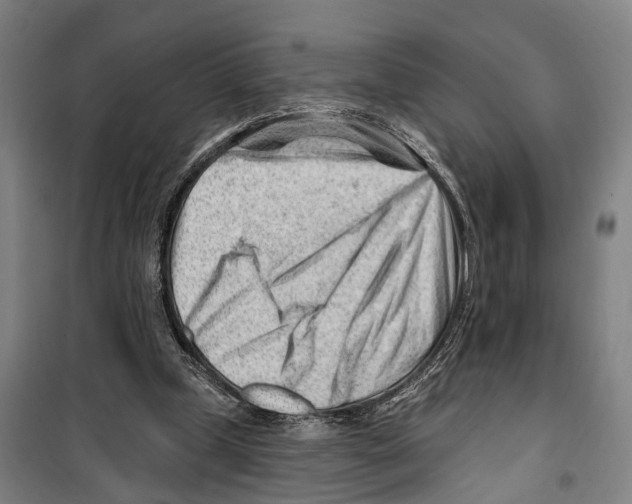 X0000099520249200806121508