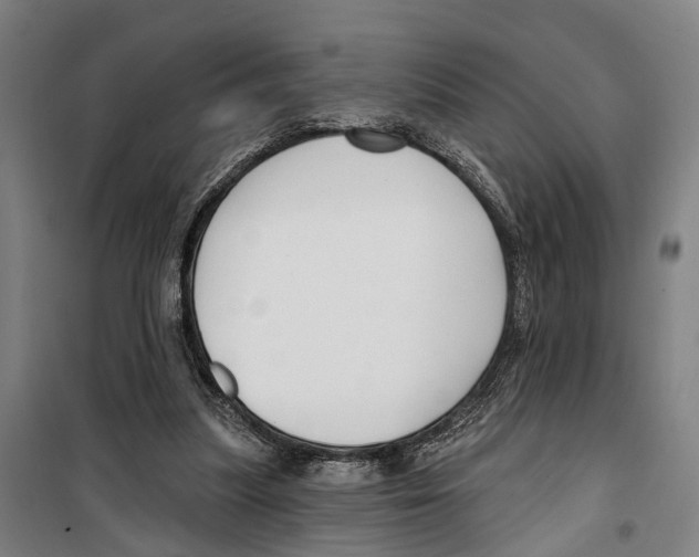 X0000099520251200806121508