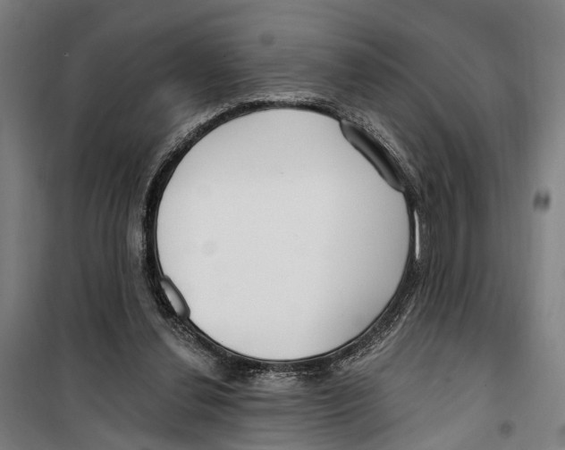 X0000099520252200806121508