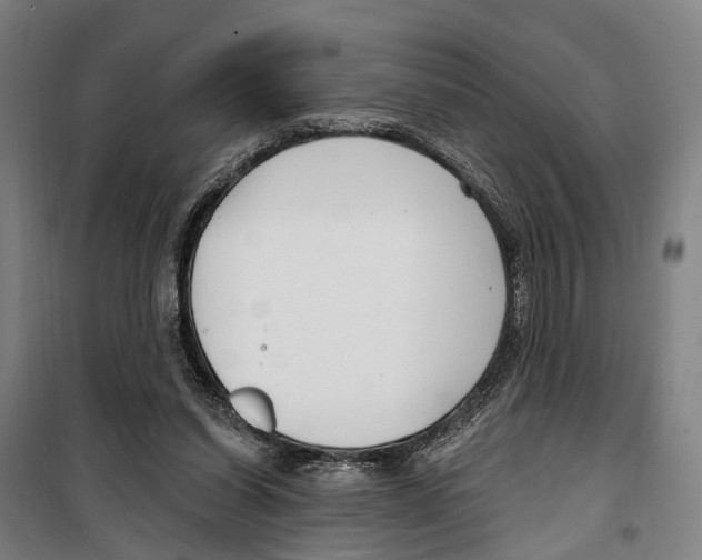 X0000099520254200806121508