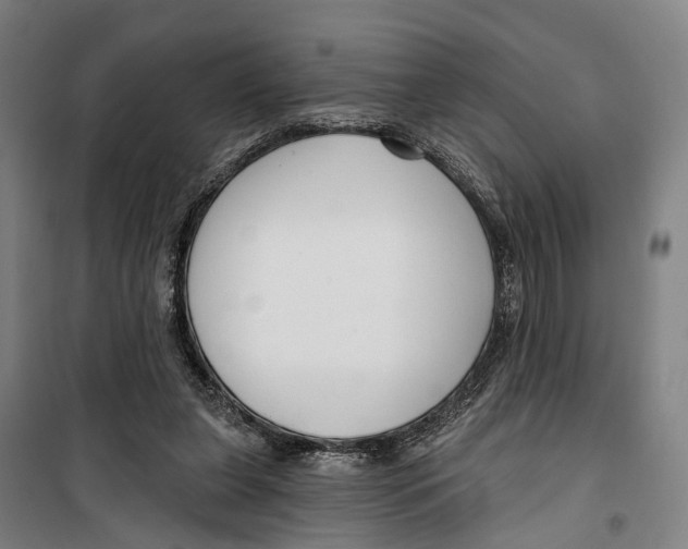 X0000099520255200806121508