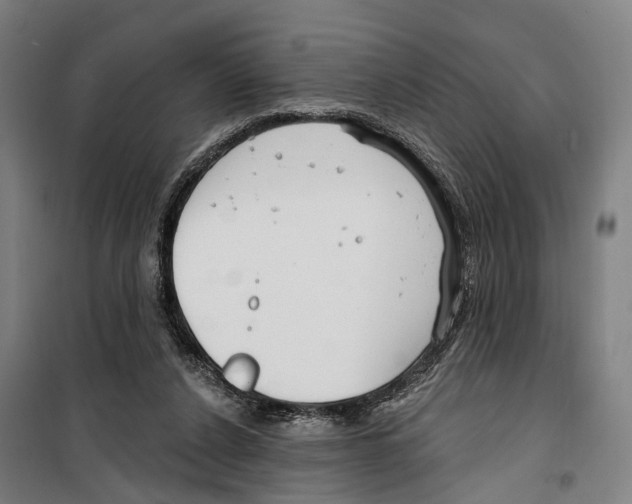 X0000099520256200806121508