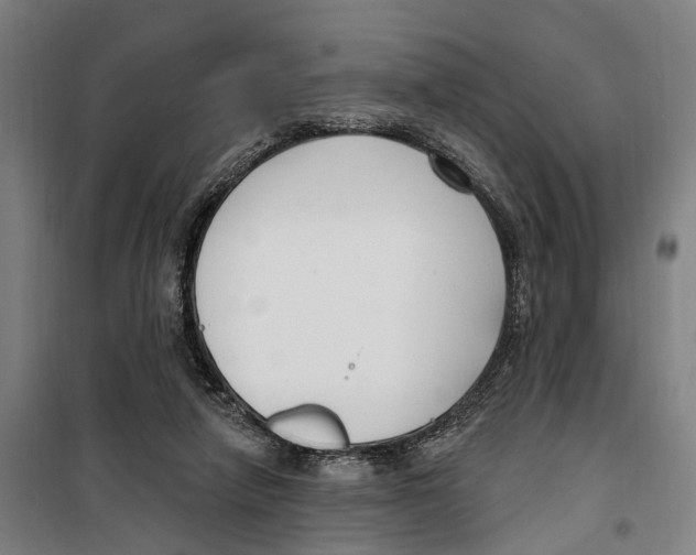 X0000099520258200806121508