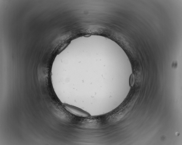 X0000099520260200806121508